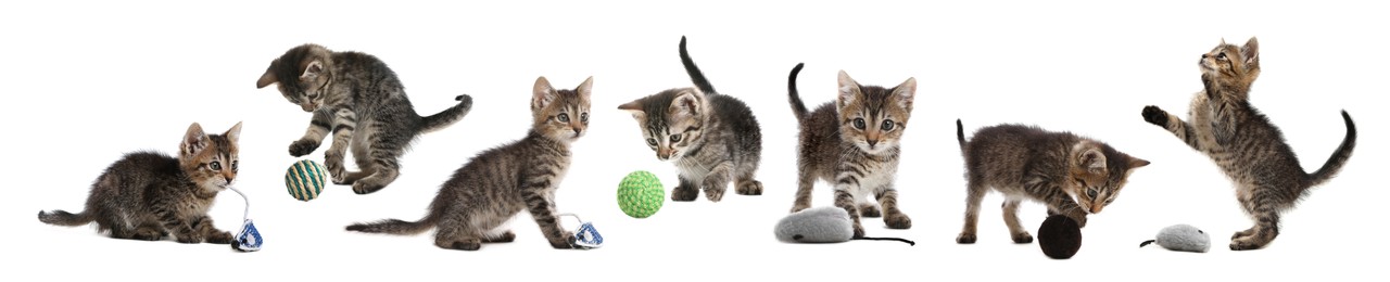 Adorable kittens playing with toys on white background, collage. Lovely pet 