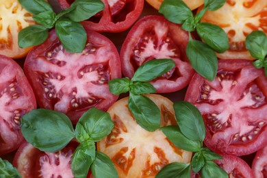 Cut tomatoes of different sorts with basil as background, top view