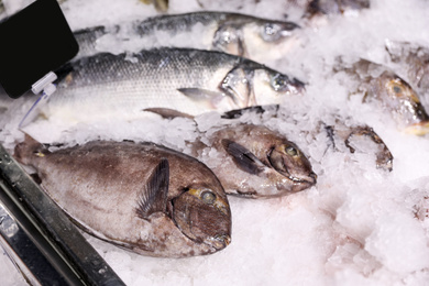 Photo of Fresh raw fish with ice in supermarket
