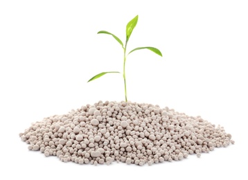 Pile of chemical fertilizer and green plant isolated on white. Gardening time