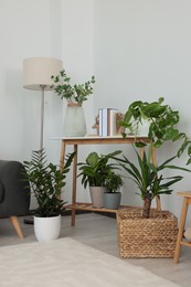Photo of Beautiful room interior with green houseplants and wooden furniture