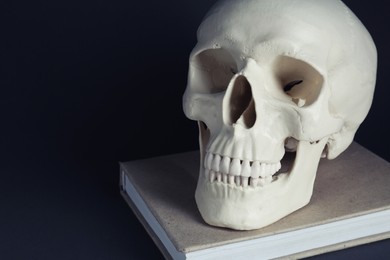 White human skull with book on black background, closeup. Space for text