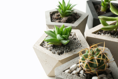 Succulent plants in concrete pots on white table, closeup