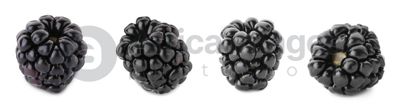 Set with delicious ripe blackberries on white background. Banner design