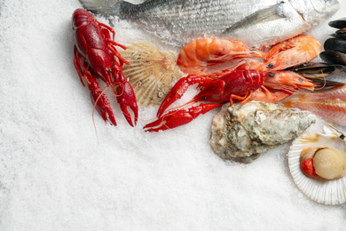 Photo of Fresh fish and seafood on ice, flat lay