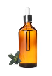 Bottle of hydrophilic oil and green branch on white background