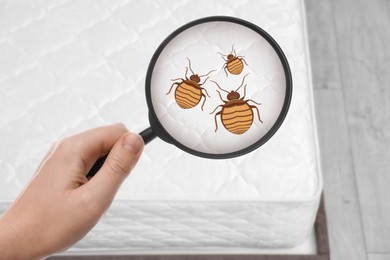 Woman with magnifying glass detecting bed bugs on mattress , top view