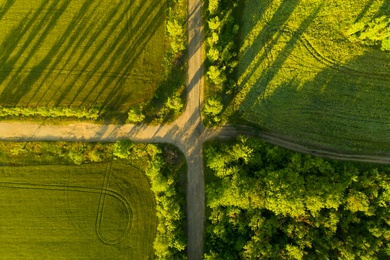 Beautiful aerial view of green fields and crossroad on sunny day