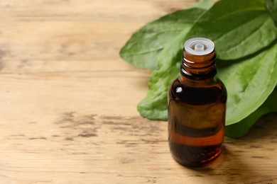 Bottle of broadleaf plantain extract and leaves on wooden table, space for text