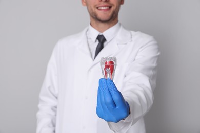 Dentist holding tooth model on light grey background, closeup