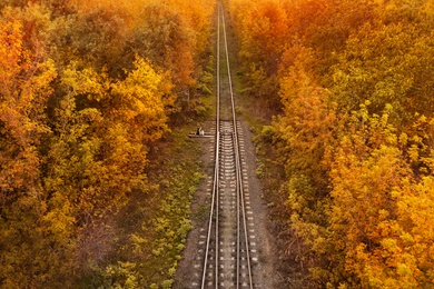 Beautiful aerial view of autumn forest crossed by railway