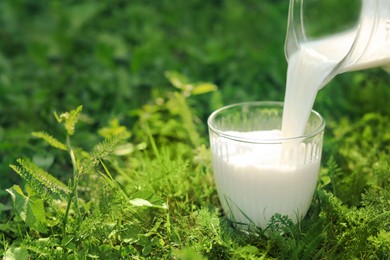 Pouring tasty fresh milk from jug into glass on green grass outdoors, closeup. Space for text