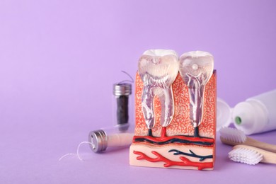 Model of jaw section with teeth near oral care products on violet background. Space for text
