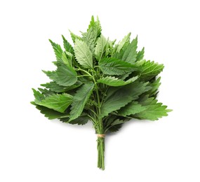 Photo of Bunch of stinging nettles on white background, top view