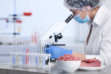 Scientist proceeding quality control in laboratory. Meat analysis