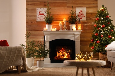 Beautiful room interior with potted firs, fireplace and decorated Christmas tree