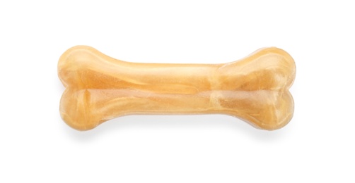 Chew bone for dog on white background, top view. Pet toy