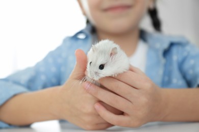 Little girl with cute hamster at table indoors, closeup