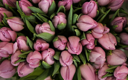 Beautiful bouquet of tulip flowers, top view
