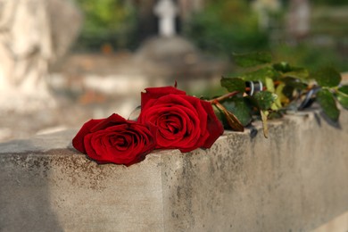 Red roses on grey tombstone outdoors, space for text. Funeral ceremony