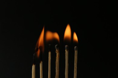 Photo of Line of burning matches on black background
