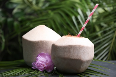 Young peeled coconut with straws, palm leaf and flower on black table
