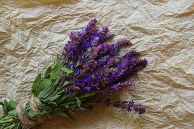Bunch of beautiful salvia on parchment, top view