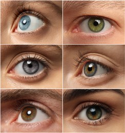Collage with photos of people with beautiful eyes of different colors