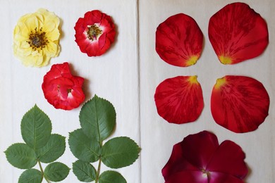 Photo of Book with flowers,leaves and petals prepared for drying, closeup