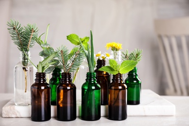 Glass bottles of different essential oils with plants on table