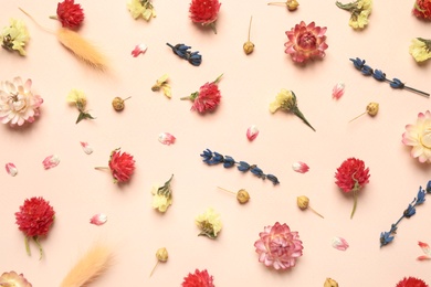 Flat lay composition with beautiful dried flowers on pink background