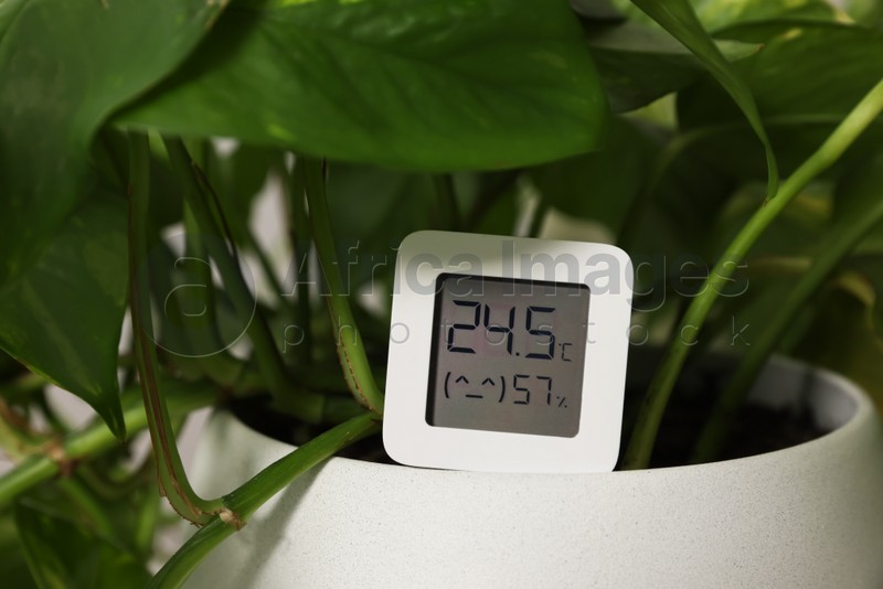 Digital hygrometer with thermometer on flower pot, closeup