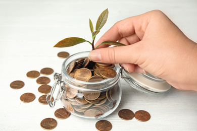 Woman putting plant into glass jar with coins on white wooden table, closeup
