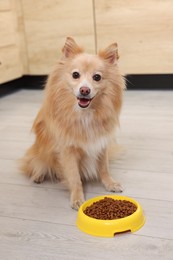 Photo of Cute Pomeranian spitz dog near feeding bowl with food on floor indoors