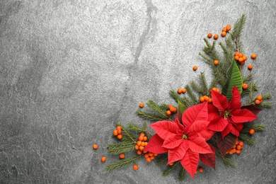 Flat lay composition with beautiful poinsettia on grey background, space for text. Christmas traditional flower