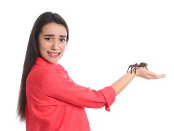Photo of Scared young woman with tarantula on white background. Arachnophobia (fear of spiders)