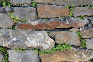 Texture of old stones with plants as background, closeup