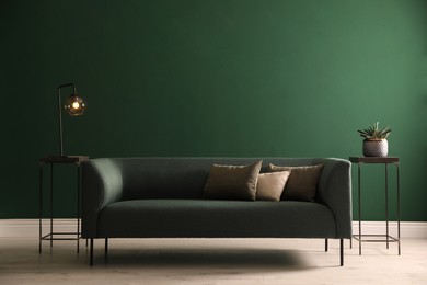 Stylish living room interior with comfortable green sofa and houseplant