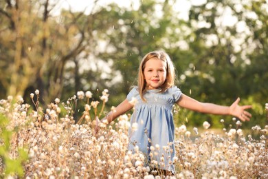 Photo of Cute little girl outdoors on sunny day. Child spending time in nature