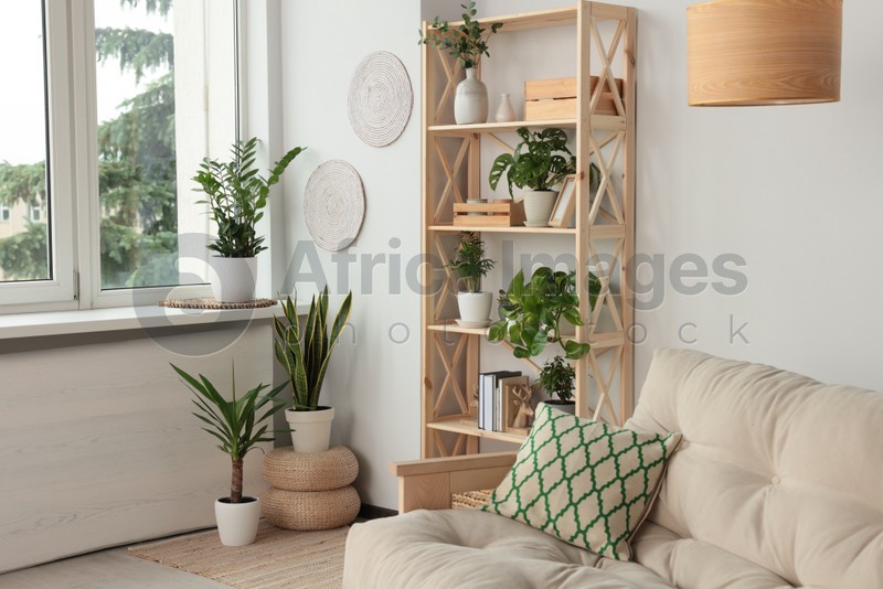 Stylish room interior with beautiful house plants. Home design idea