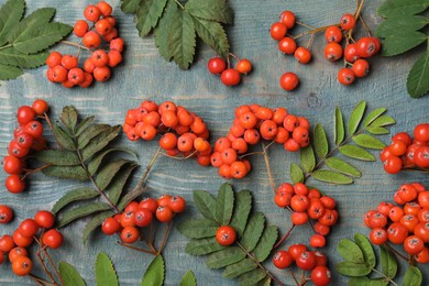 Fresh ripe rowan berries and green leaves on light blue wooden table, flat lay