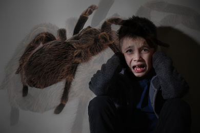 Image of Arachnophobia concept. Double exposure of scared little boy and spider