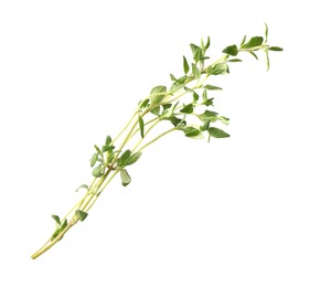 Aromatic fresh green thyme isolated on white