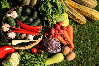 Different fresh ripe vegetables on green grass, flat lay