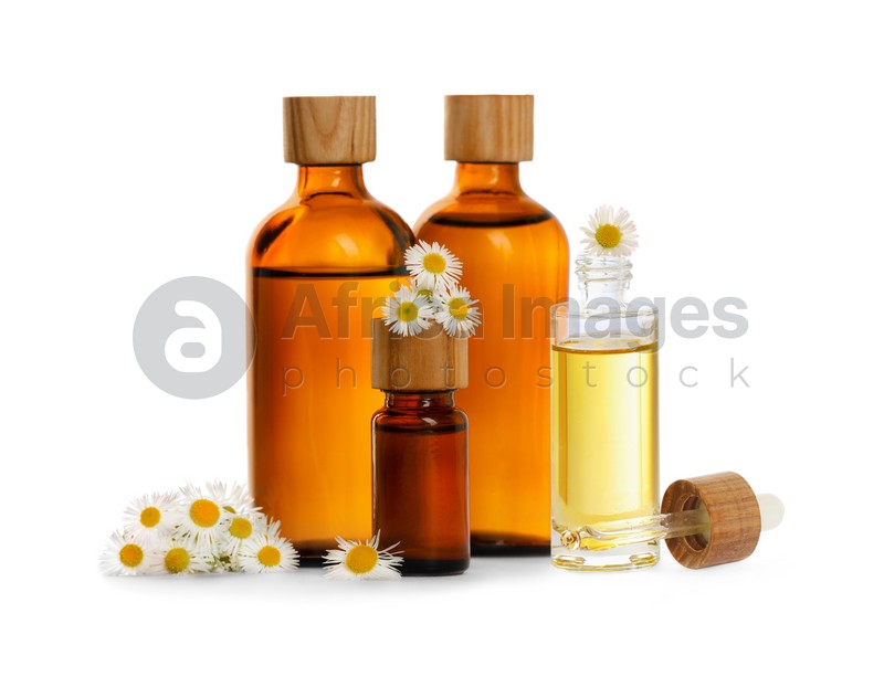 Bottles of chamomile essential oil and flowers on white background