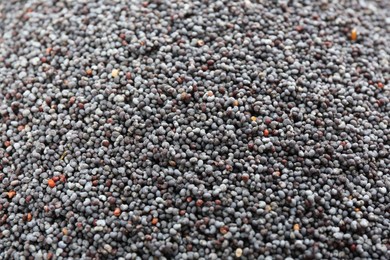 Photo of Dry poppy seeds as background, closeup view