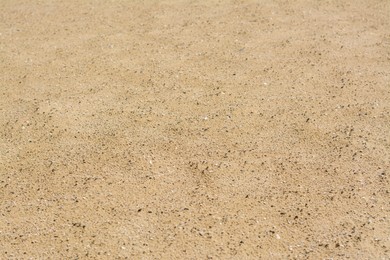 Texture of sandy beach as background, closeup