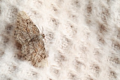 Photo of Alcis repandata moth on beige knitted sweater, top view. Space for text