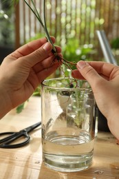 Photo of Woman putting root of house plant into water at wooden table, closeup