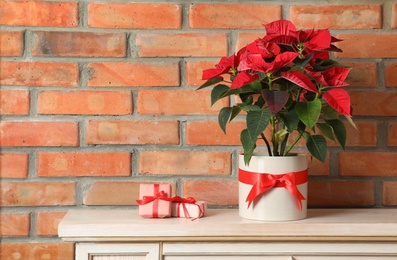 Beautiful poinsettia (traditional Christmas flower) and gifts on chest of drawers near brick wall. Space for text